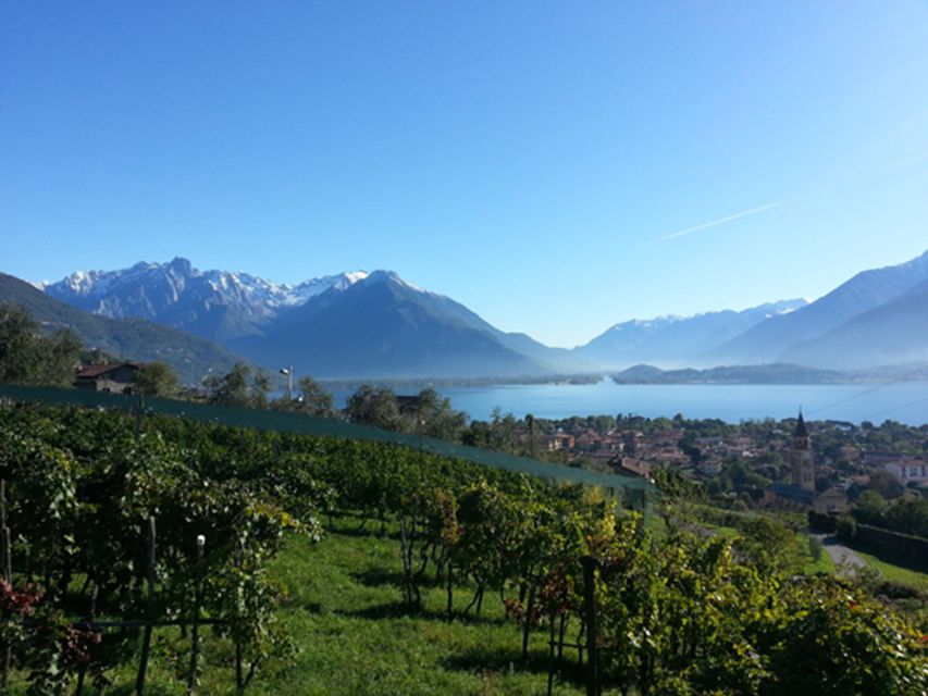 Lake Como: Winery Tour with Wine Tasting - The terrace views are part of the experience