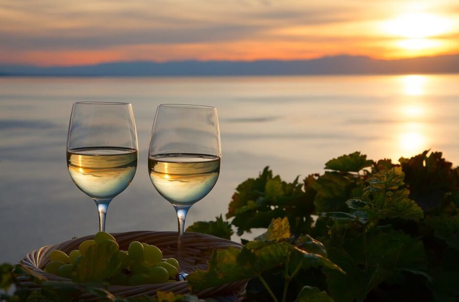 Lake Como: Winery Tour with Wine Tasting - Should you book it?