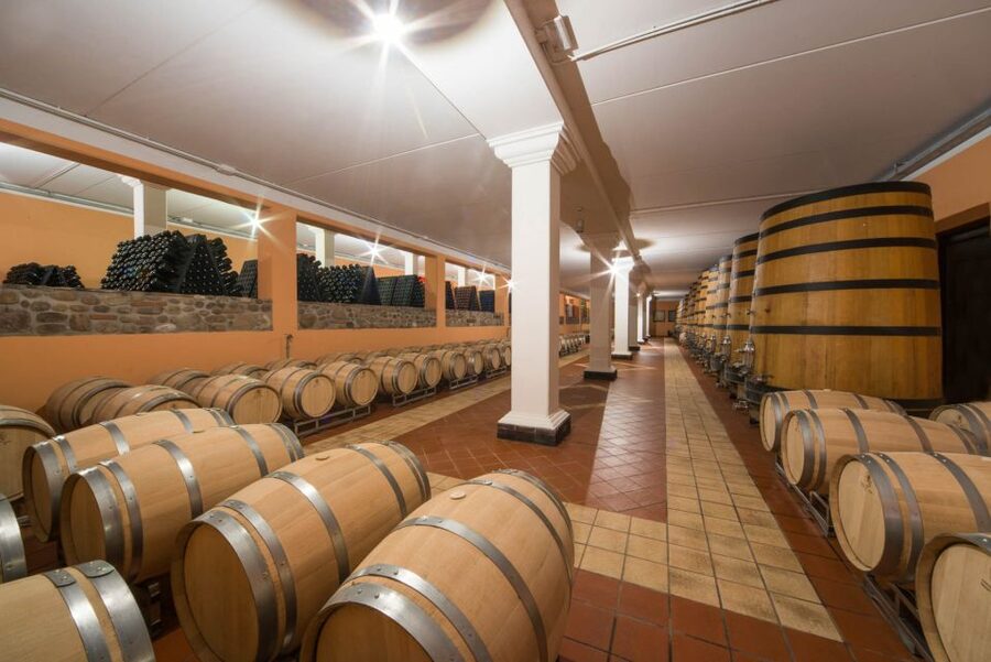 Lake Garda: Garda Hills Wine Tour and Tasting - Key points at a glance