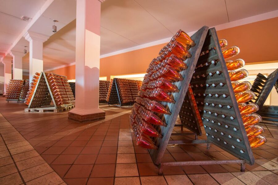 Lake Garda: Garda Hills Wine Tour and Tasting - Who will enjoy this Lake Garda tasting