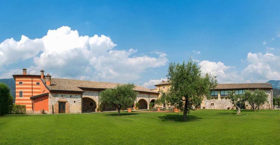 Lake Garda: Garda Hills Wine Tour and Tasting - A short walk through the vineyard