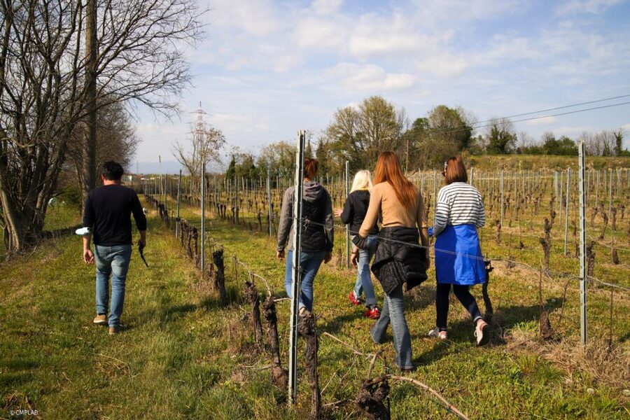 Lake Garda: Vineyard Tour and 6 wine Tasting - Is $45 a fair price?