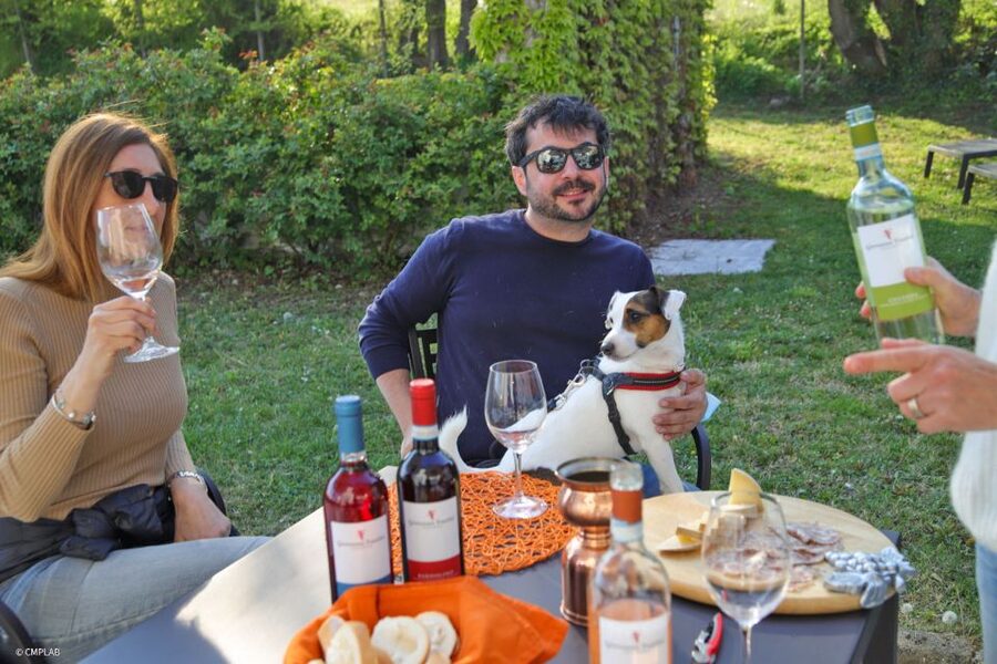 Lake Garda: Vineyard Tour and 6 wine Tasting - Chiaretto shows Lake Garda’s rosé tradition