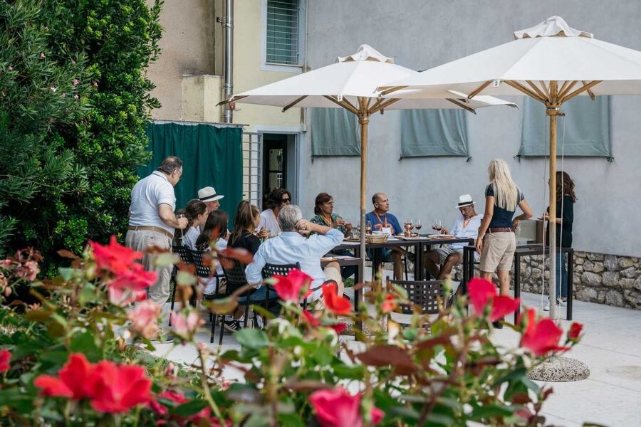 Lake Garda: Vineyard Tour and 6 wine Tasting - Magico focuses on Corvina