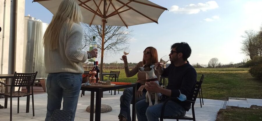 Lake Garda: Vineyard Tour and 6 wine Tasting - Ettore and Greta finish with more character