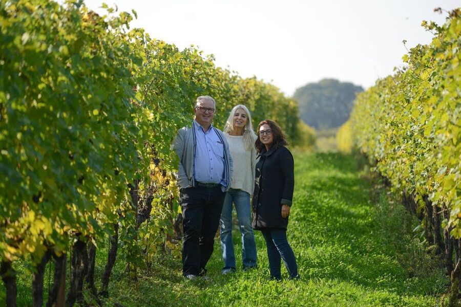 Lake Garda: Vineyard Tour and 6 wine Tasting - Local food makes the tasting more useful