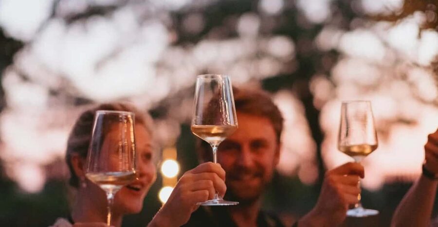 Lake Garda: Vineyard Tour and Tasting on the Hills - Starting at Località Rotti, 69/C