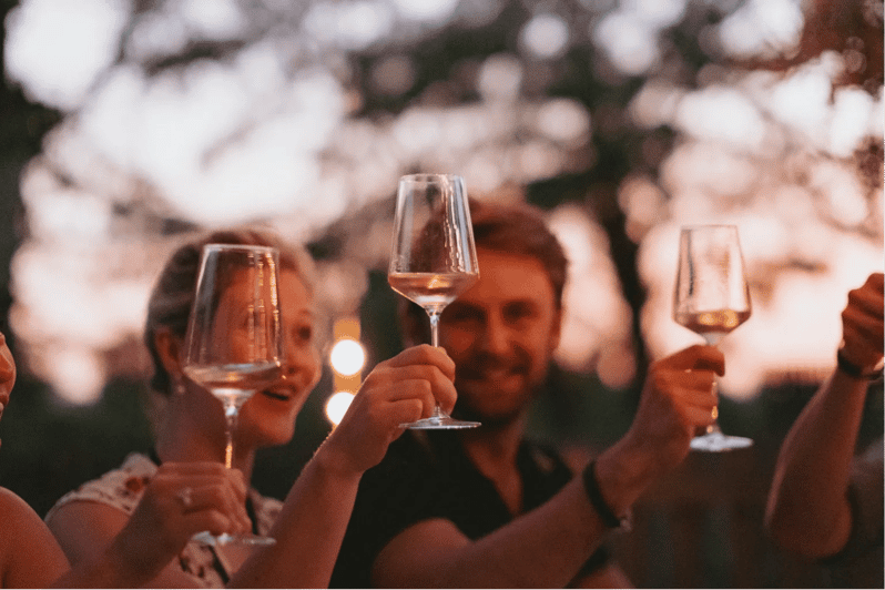 Lake Garda: Vineyard Tour and Tasting on the Hills - Inside the cellar: a short but useful production tour