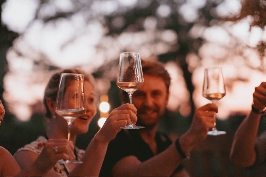Lake Garda: Vineyard Tour and Tasting on the Hills - Five wines with food from nearby producers
