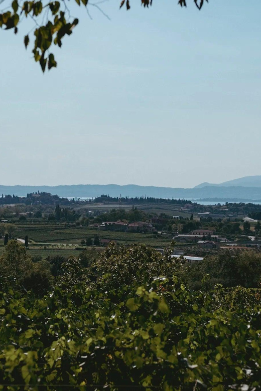 Lake Garda: Vineyard Tour and Tasting on the Hills - A few practical things to know before you go