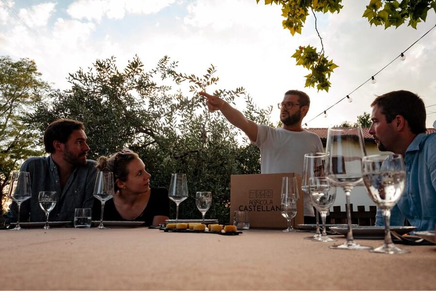 Lake Garda: Vineyard Tour and Tasting on the Hills - Should you book the Castellani winery tour?
