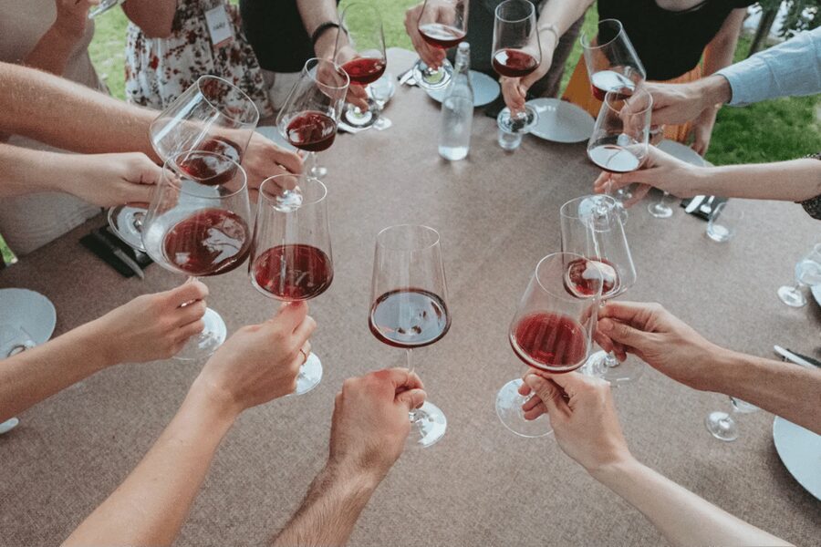 Lake Garda: Vineyard Tour and Tasting on the Hills - Walking among the Lake Garda vines