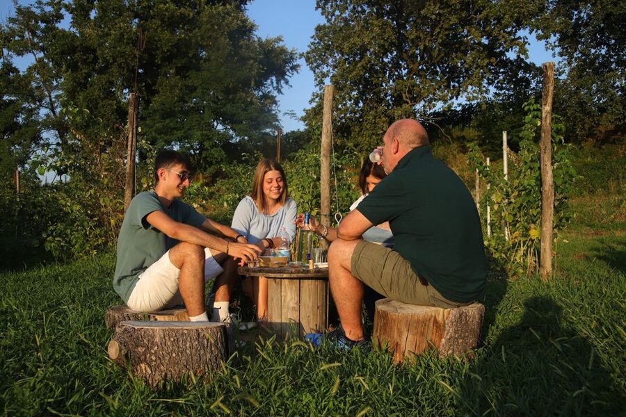 Lazise: Beekeeping Farm Tour and Tasting Experience - Key points to know before booking