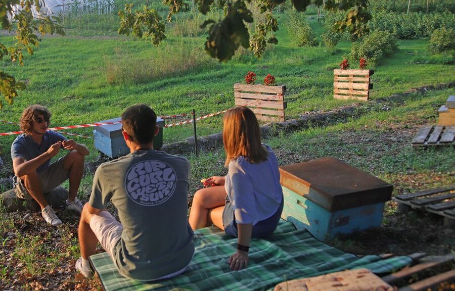 Lazise: Beekeeping Farm Tour and Tasting Experience - Is $46 a good value near Lake Garda?