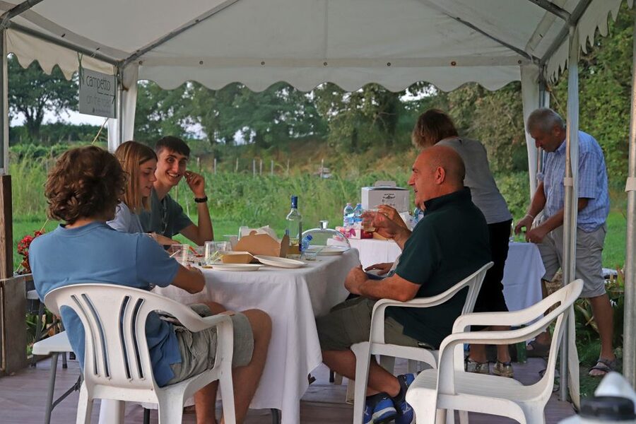 Lazise: Beekeeping Farm Tour and Tasting Experience - Walking among herbs, fruit, and vegetables