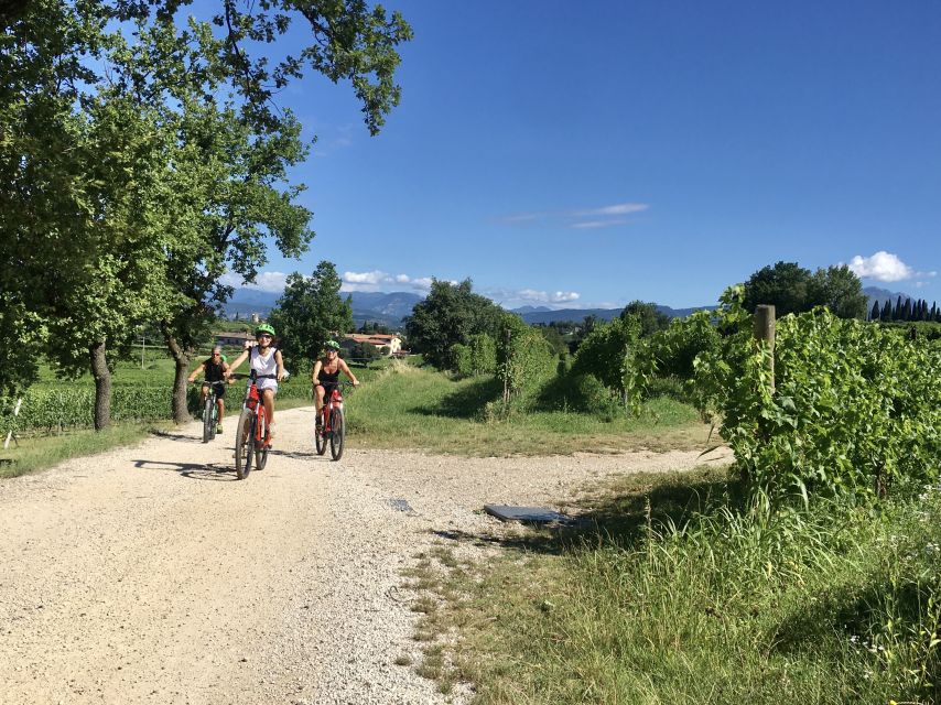 Lazise: Bike Tour and Wine Tasting - Key points to know before you book