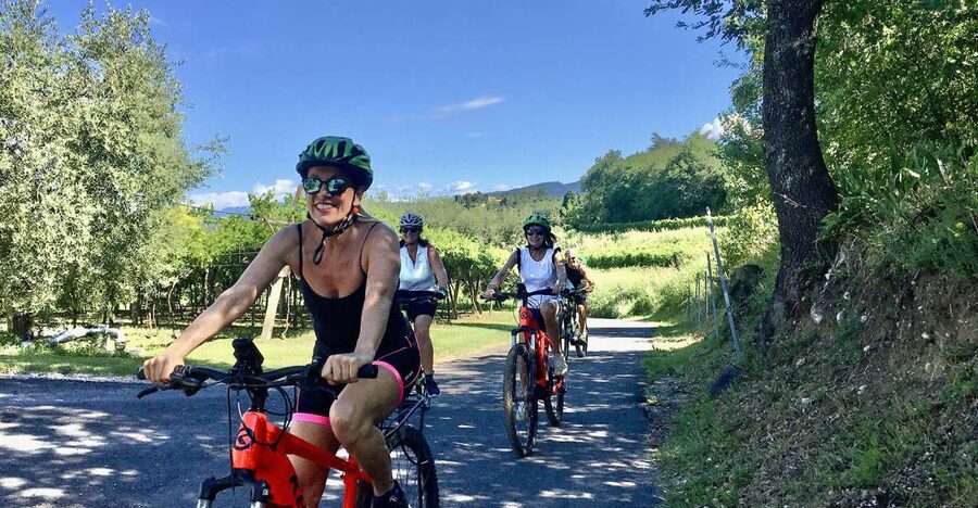 Lazise: Bike Tour and Wine Tasting - Finishing at the winery with Bardolino-area wines