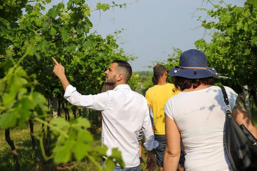 Lazise: Biodynamic Farm Tour and Natural Wine Tasting - Animals, gardens, and the biodynamic idea