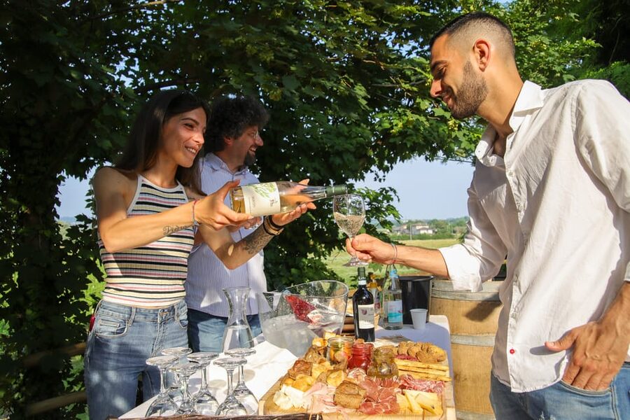 Lazise: Biodynamic Farm Tour and Natural Wine Tasting - Walking the vineyard with an explanation of the process