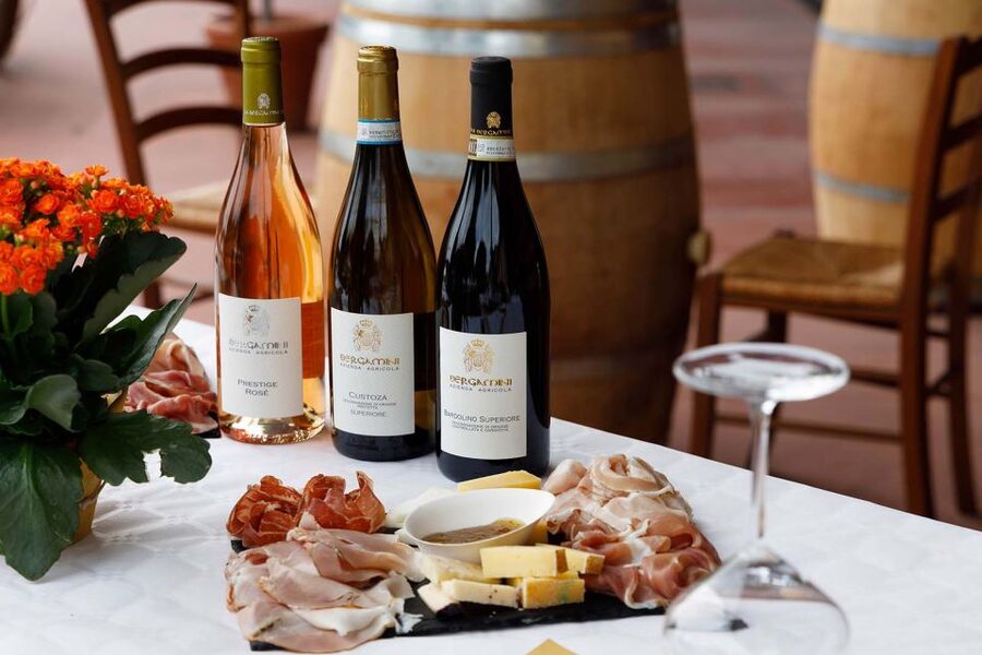 Lazise: Winery Tour with Garda Wines and Food Tasting - Key points to know before booking