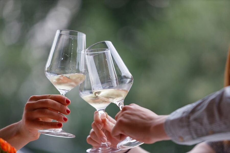 Lazise: Winery Tour with Garda Wines and Food Tasting - A traditional winery near Lazise