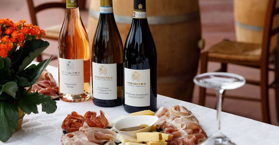 Lazise: Winery Tour with Garda Wines and Food Tasting - From grapes to fermentation and aging