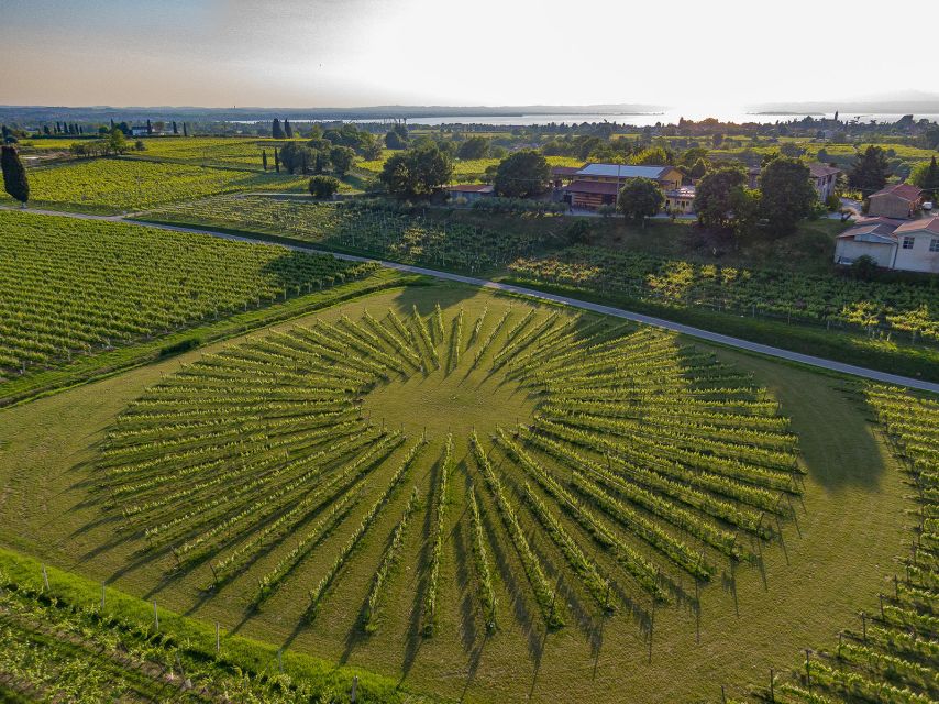 Lazise: Winery Tour with Garda Wines and Food Tasting - Bardolino, Chiaretto, Custoza, and more