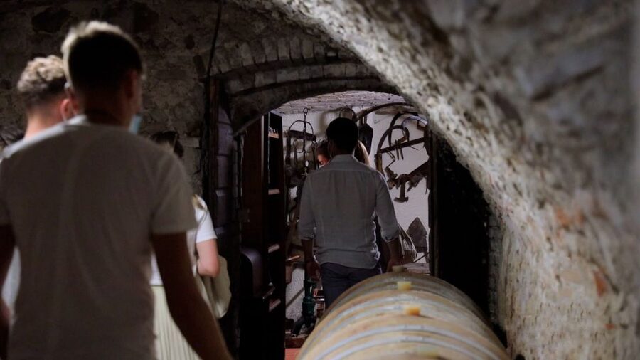 Lazise: Winery Tour with Garda Wines and Food Tasting - Practical details that affect your day