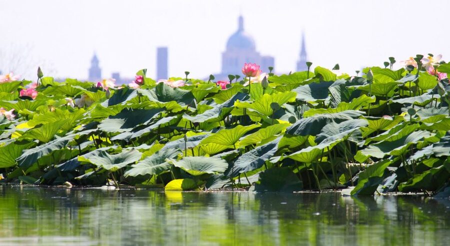Mantova City Center and Ducal Palace: 3-Hour Guided Tour - Piazza delle Erbe and the Clock Tower