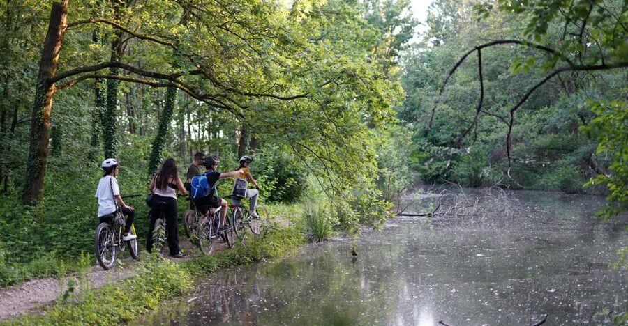 Milan: Bike Tour with Picnic on the turtle lake - Boscoincittà: woods, paths, and the first picnic pause