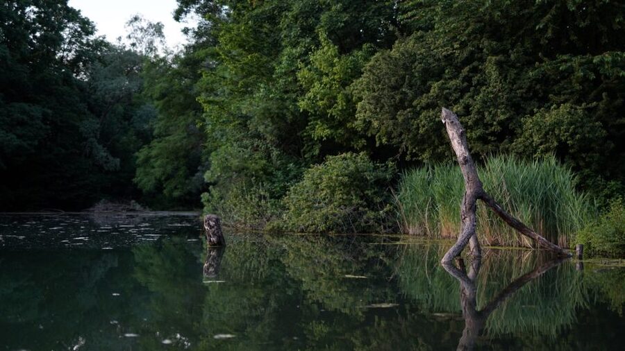 Milan: Bike Tour with Picnic on the turtle lake - What makes Davide’s guiding useful