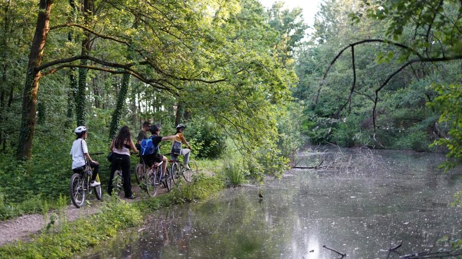 Milan: Bike Tour with Picnic on the turtle lake - Starting near San Siro and getting settled