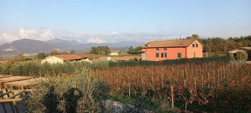 Milan: Brescia & Franciacorta with Wine Tasting Small Group - Practical advice for making the day better