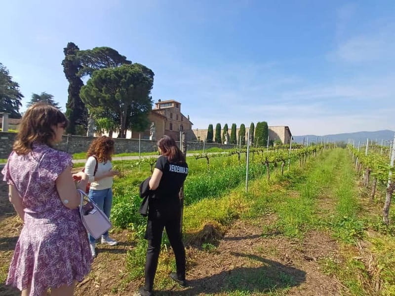 Milan: Brescia & Franciacorta with Wine Tasting Small Group - Brescia in three and a half hours