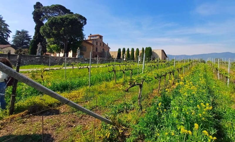 Milan: Brescia & Franciacorta with Wine Tasting Small Group - What the 10-hour schedule feels like