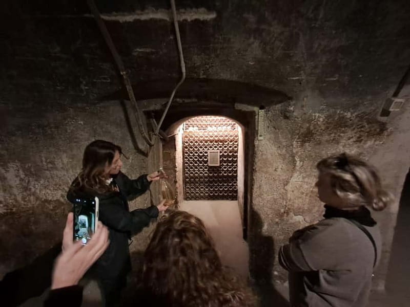 Milan: Brescia & Franciacorta with Wine Tasting Small Group - Who will enjoy this day most