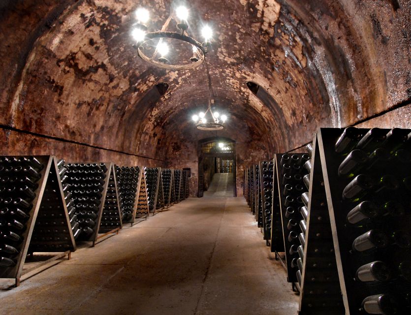 Milan: Franciacorta Winery and Bergamo Day Trip with Lunch - Key points to know before booking