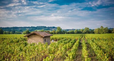 Franciacorta Winery and Bergamo Day Trip with Lunch