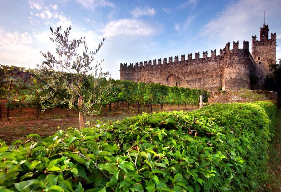 Milan: Franciacorta Winery and Bergamo Day Trip with Lunch - Lunch beside Lake Iseo