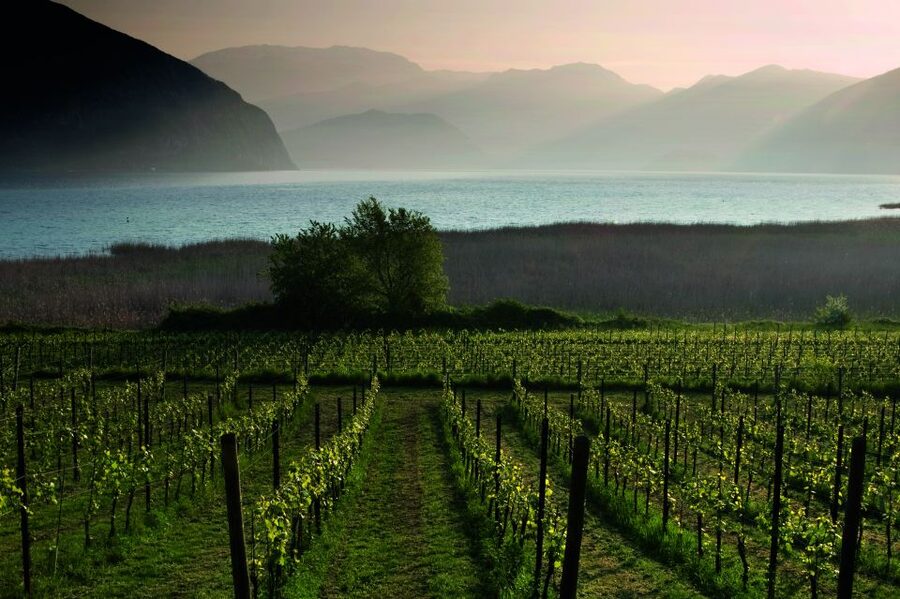 Milan: Franciacorta Winery and Bergamo Day Trip with Lunch - Who will enjoy this day most
