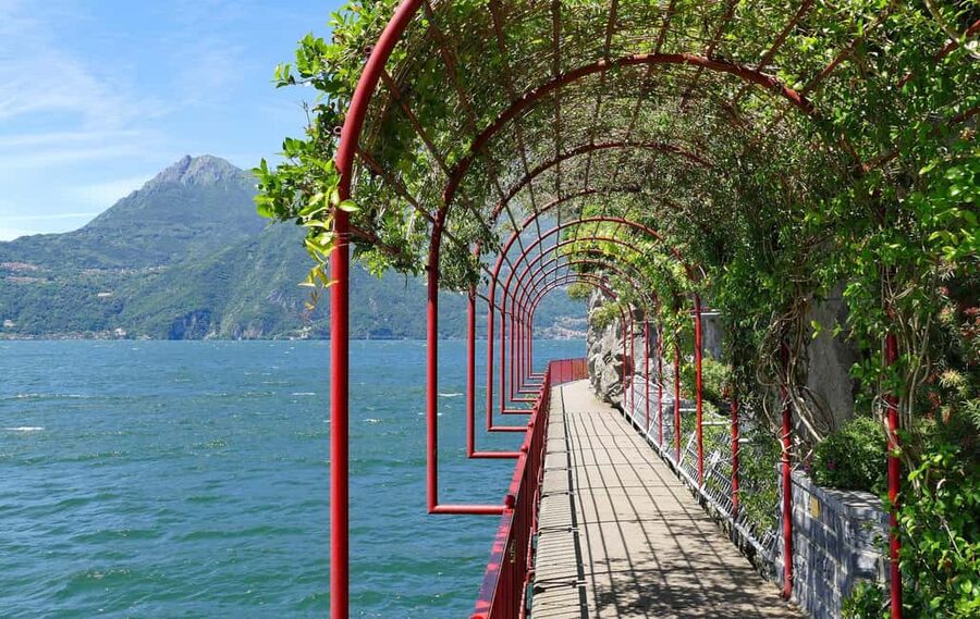 Milan: Lake Como, Bellagio, and Varenna Day Trip & Cruise - Key points to know before you book