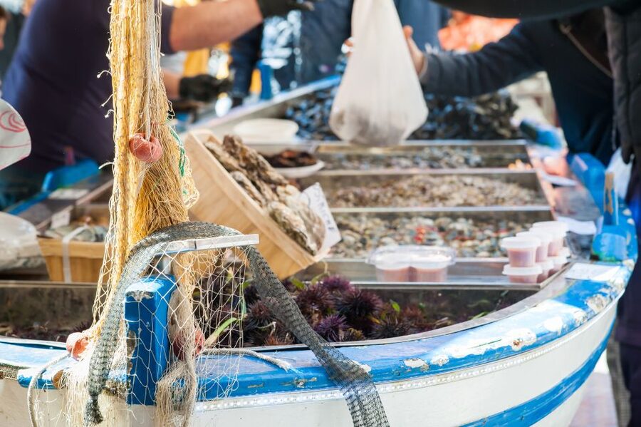 Milan: Market and Meal at a Local's Home - Booking details that matter