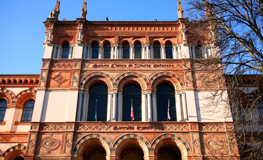 Milan: Natural History Museum Entry Ticket & Audio Guide - How the smartphone audio guide works