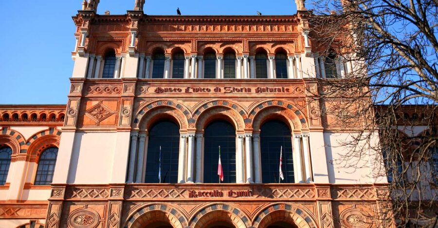 Milan: Natural History Museum Entry Ticket & Audio Guide - Arriving at Corso Venezia 55