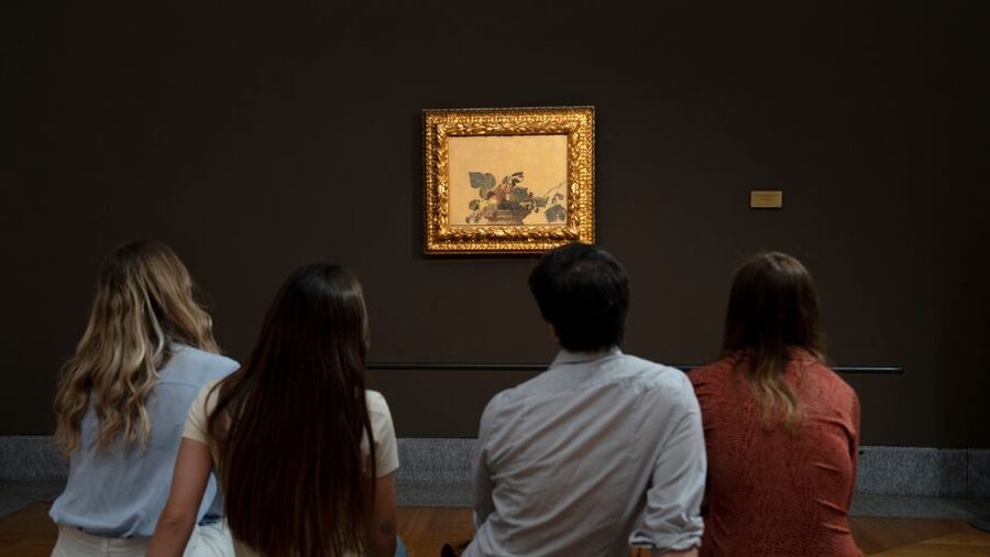 Milan: Pinacoteca Ambrosiana and San Sepolcro Crypt Ticket - The first rooms: old masters in a peaceful setting