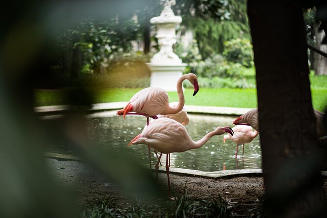 Milan Private Sightseeing Tour for Kids and Families with Local Guide - Who will get the most from this tour?