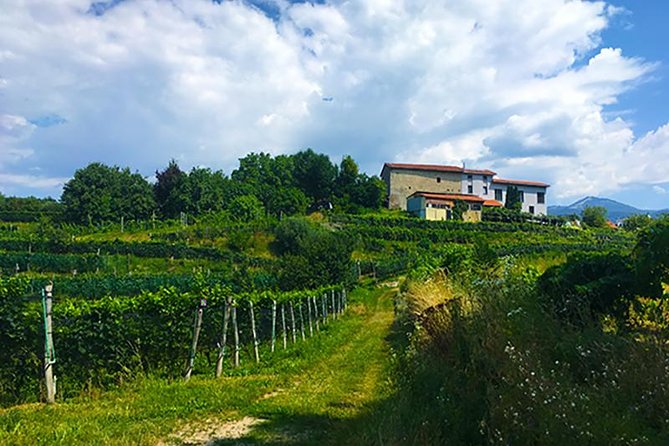 Mountain Bike tour in Spina Verde natural park - Why Parco Spina Verde is more than a quick stop