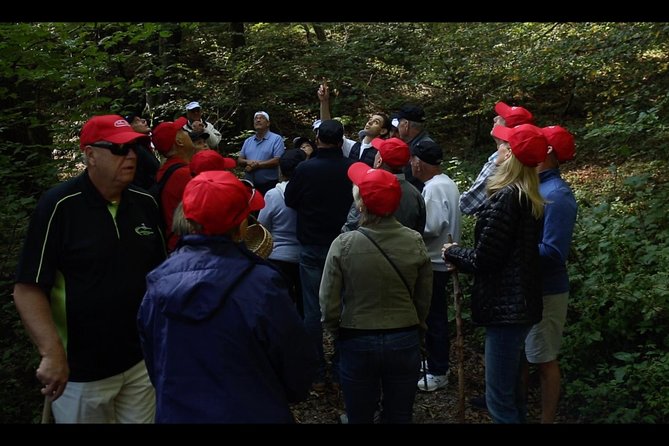 Mushroom or Truffle Hunting - Searching the woods above Bellagio