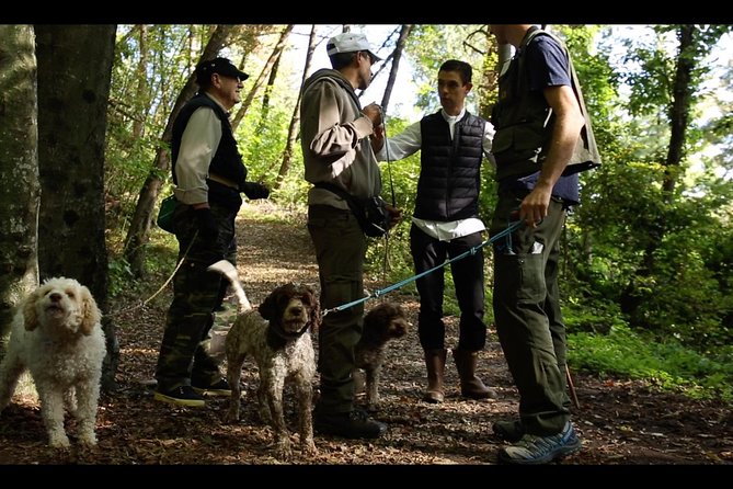 Mushroom or Truffle Hunting - The two-hour schedule and what it really means