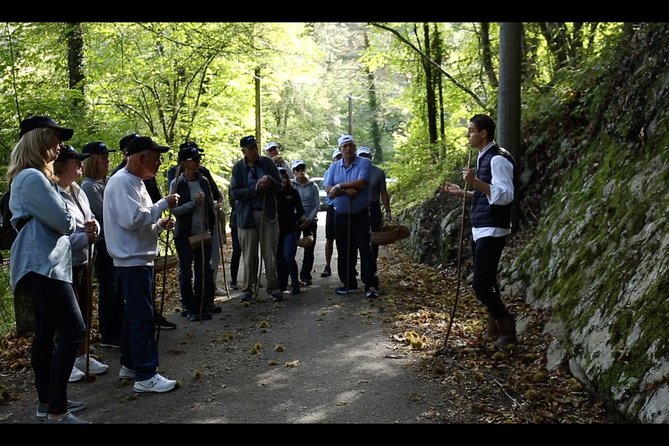 Mushroom or Truffle Hunting - Chef Luigi, the dog, and the personal feel